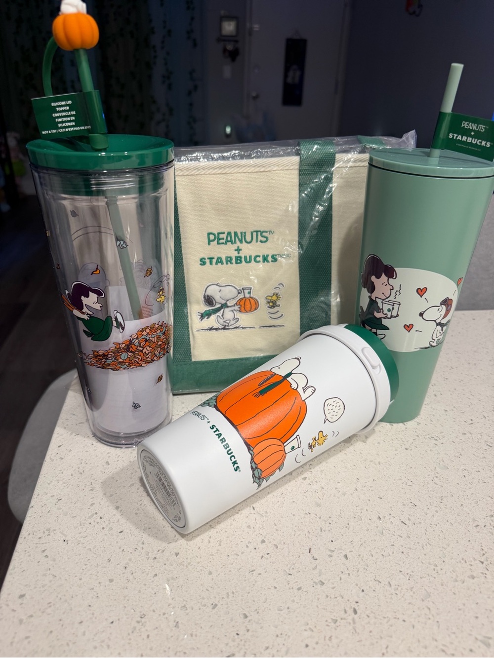 Starbucks Peanuts Fall Tumbler Set in Green, White, Orange